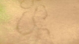 Пиноккио и заколдованная деревня S1E38 Вулпик и волк