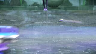 Инфинити Надо S5E2 Затаившийся дракон