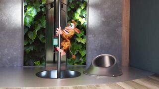 Буба E51 Гость