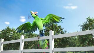 Буба E54 Полёт