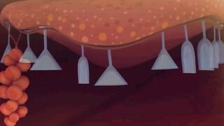 Сказочный патруль. Хроники чудес S1E70 Волшебные каникулы