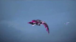 [AniMaunt] Xingchen Bian 5 - 18