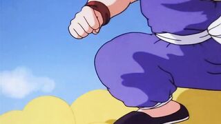 [AniMaunt] Dragon Ball - 009