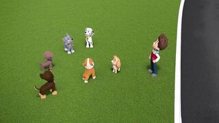 Щенячий патруть S9E22