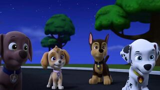 Щенячий патруть S9E25