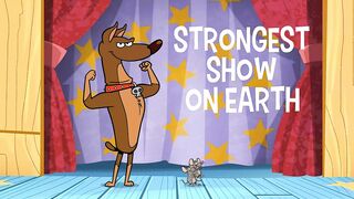 Дикий кот S3E16 Кто на свете всех сильней