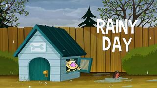 Дикий кот S3E18 Дождливый день