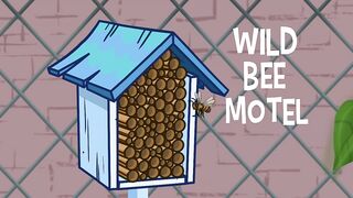 Дикий кот S3E30 Отель для диких пчел