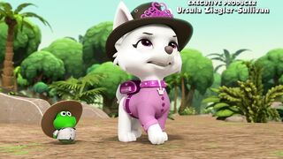 Щенячий патруть S9E08