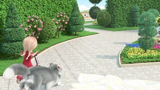 Царевна и дракон. Магическая книга S1E11