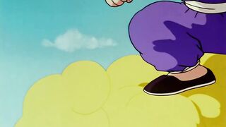 [AniMaunt] Dragon Ball - 15