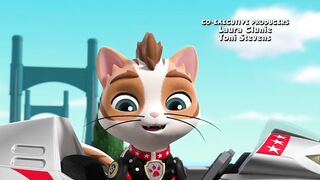 Щенячий патруть S9E02