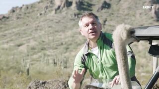 [AniMaunt] Wild Kratts season 6 - 15