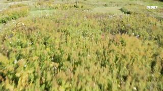 [AniMaunt] Wild Kratts 7 - 02