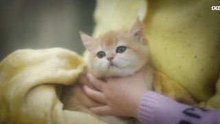 [AniMaunt] Miss Night and Day - 02