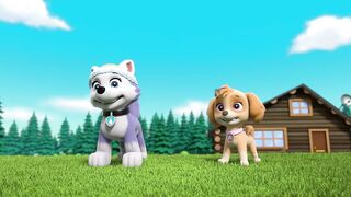 Щенячий патруть S10E10