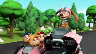 Щенячий патруть S10E13