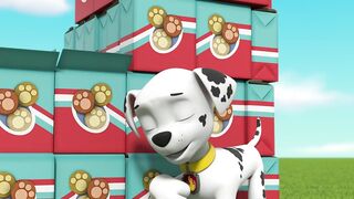 Щенячий патруть S10E17