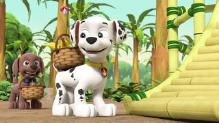 Щенячий патруть S10E19