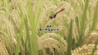 [AniMaunt] Tensui no Sakuna-hime - 11