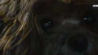 [AniMaunt] Dog Knows Everything - 01