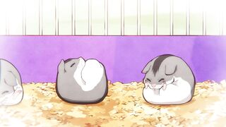 [AniMaunt] Houkago Shounen Hanako kun Part 2 - 01