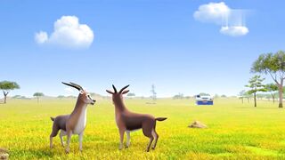 Супер крылья S7E07 Большая птичка