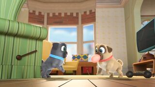 Дружные мопсы S3E19