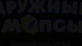 Дружные мопсы S4E09