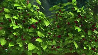 Турбозавры S3E14 Заброшенная железная дорога