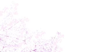 [AniMaunt] Hana wa Saku, Shura no Gotoku - 11