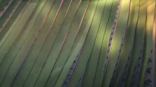 [AniMaunt] Chang Ge Xing - 06