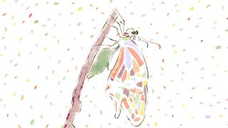 [AniMaunt] Kusuriya no Hitorigoto 2 - 14