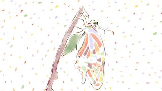 [AniMaunt] Kusuriya no Hitorigoto 2 - 15