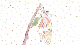 [AniMaunt] Kusuriya no Hitorigoto 2 - 16