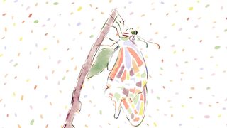 [AniMaunt] Kusuriya no Hitorigoto 2 - 17