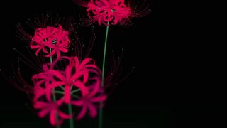 [AniMaunt] Kijin Gentoushou - 05