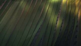 [AniMaunt] Chang Ge Xing - 15