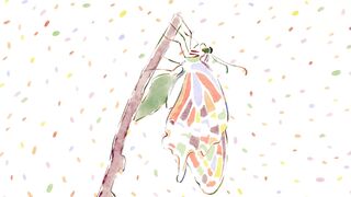 [AniMaunt] Kusuriya no Hitorigoto 2 - 20