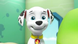 Щенячий патруть S11E01