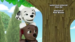 Щенячий патруть S11E17