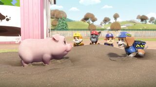 Крепыш и команда S1E24