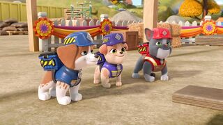 Крепыш и команда S2E17