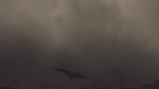 [AniMaunt] A Wild Last Boss Appeared! S01E01