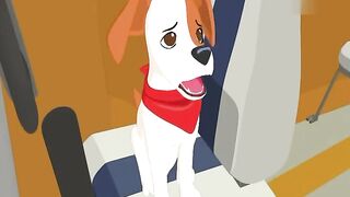 Ум. Белый дельфин S1E08 Джекпот