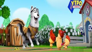Отряд цыплят S1E26 На свежем воздухе
