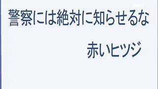 [AniMaunt] Detective Conan - 1047