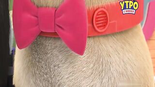 Дружные мопсы S5E07 День семейного фото с питомцами