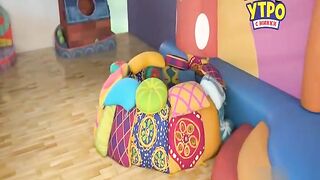 Дружные мопсы S5E15 Собираем закатышку