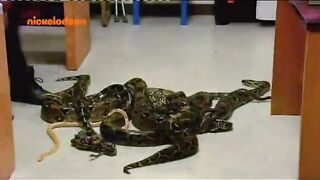 Колдовская история S2E23